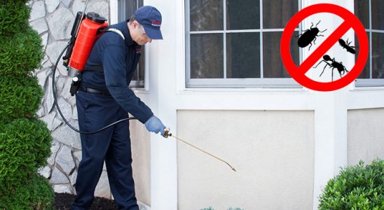 Erdemli Karınca İlaçlama böcek ilaçlama ve haşere kontrolü — ilaclama-tr.com